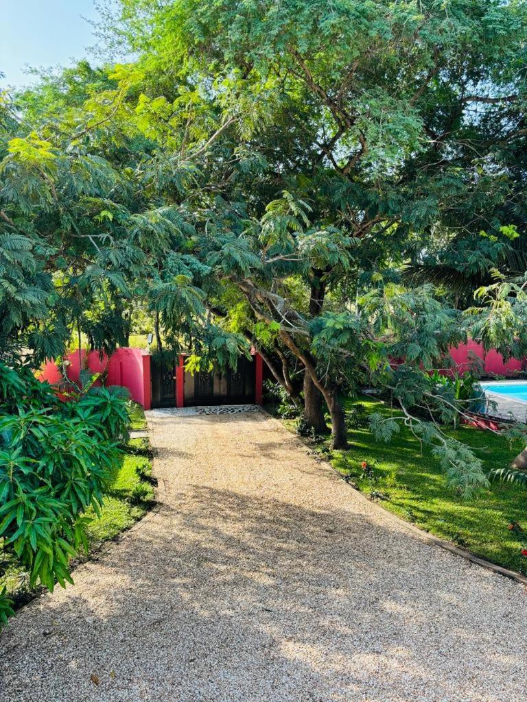 Heda House Bed & Breakfast Sanyang Luaran gambar